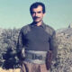 کورێمەیی ژ زیندانێ بۆ ناڤ چیا و پێشمەرگاتیێ