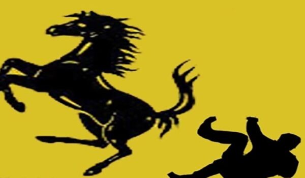 سوارێ ههسپێ خهلکێ تم پهیا یه